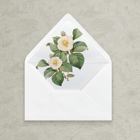 Camellia Fine Art Envelope Liners