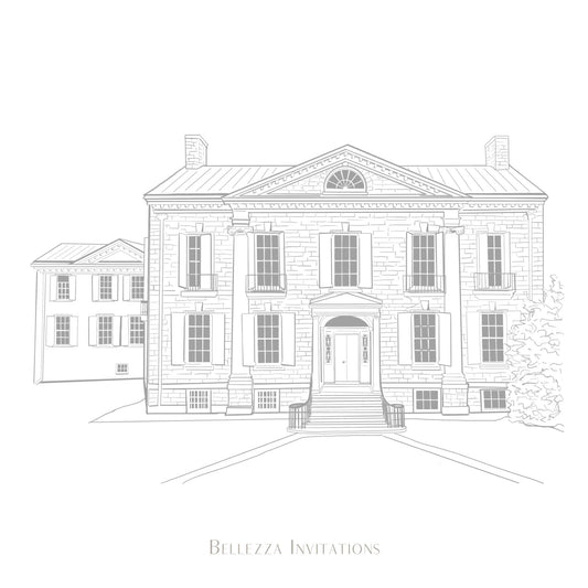 Line Art Drawing